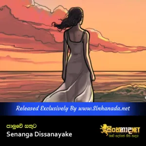 Cover Art – Paluwe Sathuta - Senanga Dissanayake x Methun SK.mp3