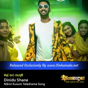 Cover Art – Mal Sara Hangum - Dinidu Shane Nikini Kusum Teledrama Song.mp3