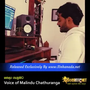 Cover Art – Nela Ganumata Voice of Malindu Chathuranga.mp3