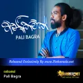 Cover Art – Thanikamak - Pali Bagra.mp3