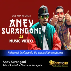 Cover Art – Aney Surangani - Adk x ShafraZ x Chethana Ketagoda.mp3