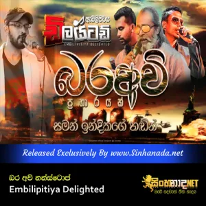 Cover Art – Bara Awi Nonstop - Embilipitiya Delighted.mp3