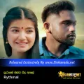 Cover Art – Purane Obata Pidu Ale - Rythmal.mp3