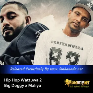 Cover Art – Hip Hop Wattuwa 2 - Big Doggy x Maliya.mp3
