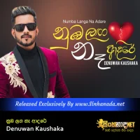 Cover Art – Numba Langa Na Adare - Denuwan Kaushaka.mp3