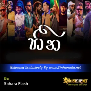 Cover Art – Heena - Sahara Flash.mp3