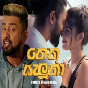 Cover Art – Nethu Saluna Revisited - Romesh Sugathapala.mp3