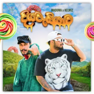 Cover Art – Diyawadiyawa - Maduwa x Kelwiz.mp3
