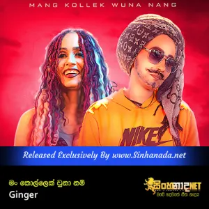 Cover Art – Man Kollek Una Nam - Ginger.mp3