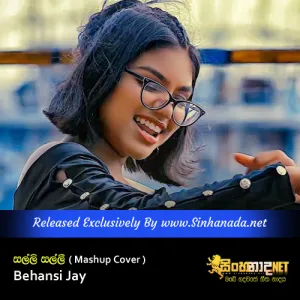 Cover Art – Salli Salli ( Mashup Cover ) - Behansi Jay.mp3
