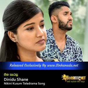 Cover Art – Heena Sarasu - Dinidu Shane Nikini Kusum Teledrama Song.mp3