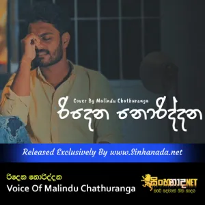 Cover Art – Ridena Noriddana Voice Of Malindu Chathuranga.mp3
