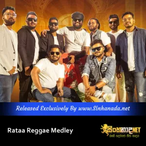 Cover Art – Rataa Reggae Medley - Ravi Royster.mp3
