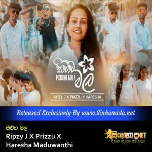 Cover Art – Pichcha Mala - Ripzy J X Prizzu X Haresha Maduwanthi.mp3
