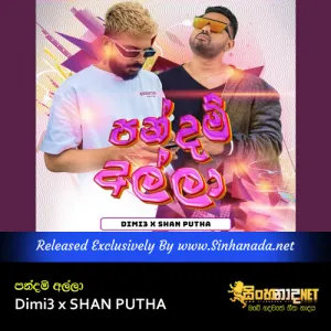 Cover Art – Pandam Alla -  Dimi3 x SHAN PUTHA.mp3