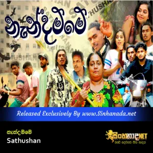 Cover Art – Nandamme - Sathushan.mp3