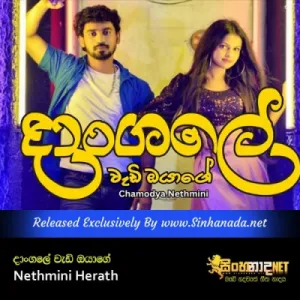 Cover Art – Dangale Wadi Oyage - Nethmini Herath.mp3