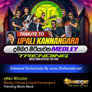Cover Art – Dumbara Mitiyawatha Medley Tribute to Upali Kannangara - Trending Music Band.mp3