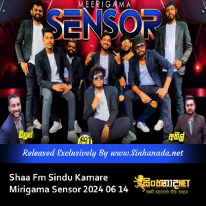 27.TIK TOK NONSTOP - MIRIGAMA SENSOR.mp3