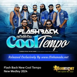 Cover Art – Flash Back New Cool Tempo New Medley 2024.mp3