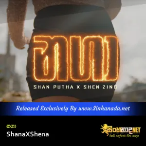Cover Art – Nagaa - ShanaXShena.mp3