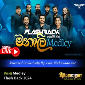 Cover Art – Manali Medley - Flash Back 2024.mp3
