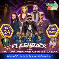 Cover Art – 13.HINDI SONGS NONSTOP - FLASH BACK.mp3