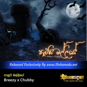 Cover Art – Palui Malliye - Breezy x Chubby.mp3