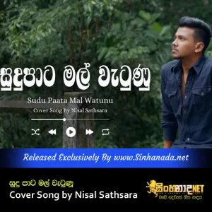 Cover Art – Sudu Paata Mal Watunu Cover Song by Nisal Sathsara.mp3