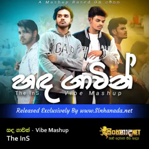 Cover Art – Vibe Mashup - The InS.mp3
