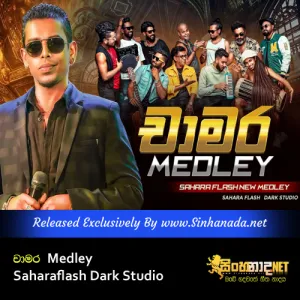 Cover Art – Chamara Medley - Sahara Flash Dark Studio.mp3