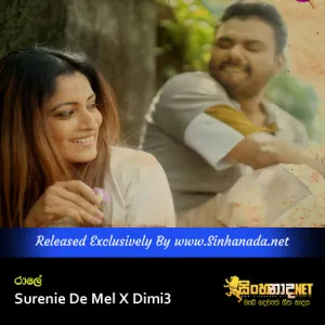 Raale - Surenie De Mel X Dimi3.mp3