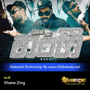 Cover Art – Nangi Nangi - Shane Zing.mp3