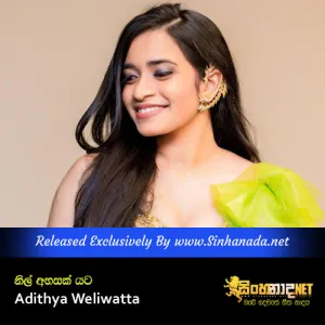 Cover Art – Nil Ahasak Yata by Adithya Weliwatta.mp3
