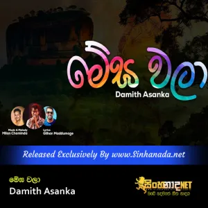 Cover Art – Megha Wala - Damith Asanka.mp3