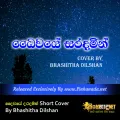 Cover Art – Daiwaye Saradamin Short Cover By Bhashitha Dilshan.mp3