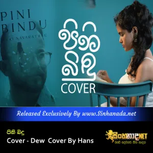 Cover Art – Pini Bindu Cover - Dew  Cover By Hans.mp3