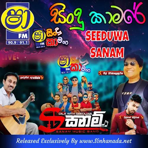 Cover Art – 02.DJ STYLE NONSTOP - SEEDUWA SANAM.mp3
