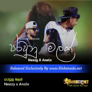 Cover Art – Paraunu Malak - Neezy x Anolx.mp3