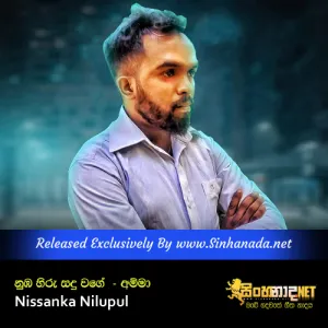 Cover Art – Nuba Hiru Sandu Wage ( Amma ) - Nissanka Nilupul.mp3