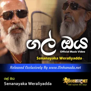 Cover Art – Gal Oya - Senanayaka Weraliyadda.mp3