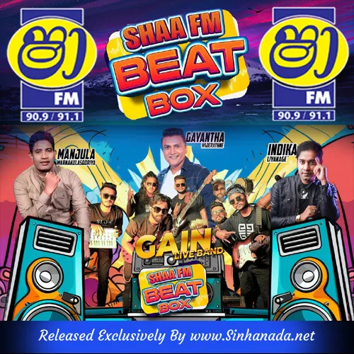 Cover Art – 03.WASTHI SONGS NONSTOP - GAIN.mp3