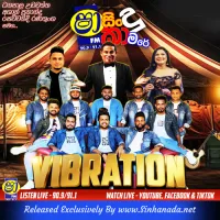 27.NEW TIK TOK NONSTOP - THANGALLA VIBRATION.mp3