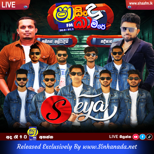 Cover Art – 19.TIK TOK NONSTOP - RABUKKANA SEYA.mp3