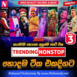 Cover Art – 2024 New Sinhala Live Show Trending Nonstop Part 03 New Trending Live Nonstop 2024.mp3