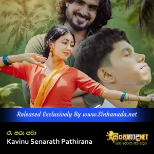 Cover Art – Raa Tharu Pawa - Kavinu Senarath Pathirana.mp3