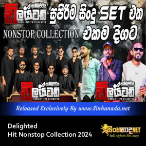 Cover Art – Delighted Hit Nonstop Collection 2024.mp3