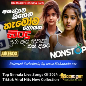 Cover Art – Top Sinhala Live Songs Of 2024 Tiktok Viral Hits New Collection Of Sinhala Music.mp3