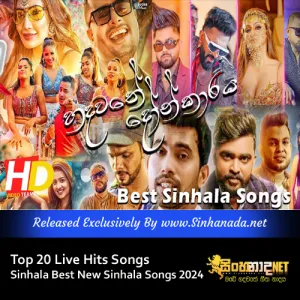 Cover Art – Top 20 Live Hits Songs Best Sinhala New Live Songs Collection 2024.mp3