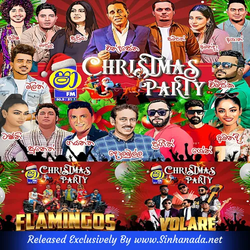Cover Art – 40.RATAKIN EHA - AHUNGALLA FLEMINGOES.mp3